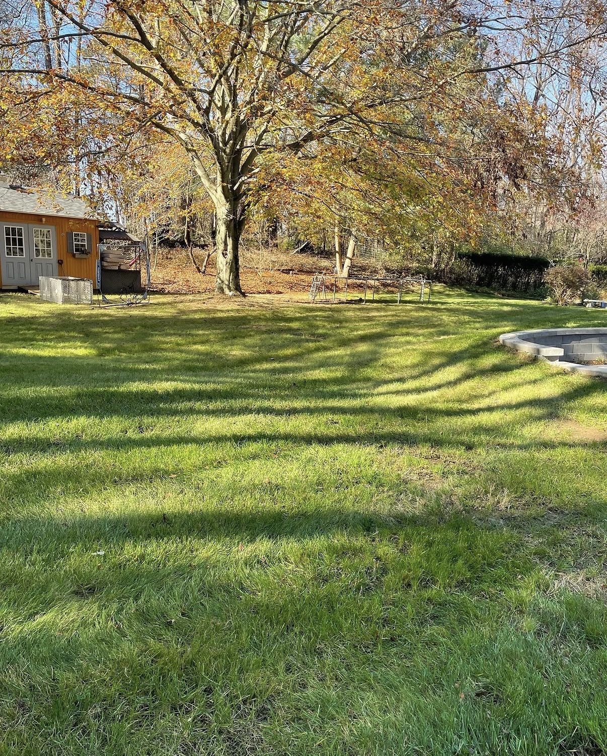 Clean backyard lawn after a full fall leaf cleanup in Andover, MA