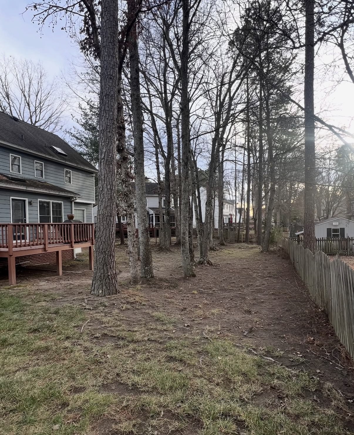 Wooded side yard cleared of leaves after a fall cleanup
