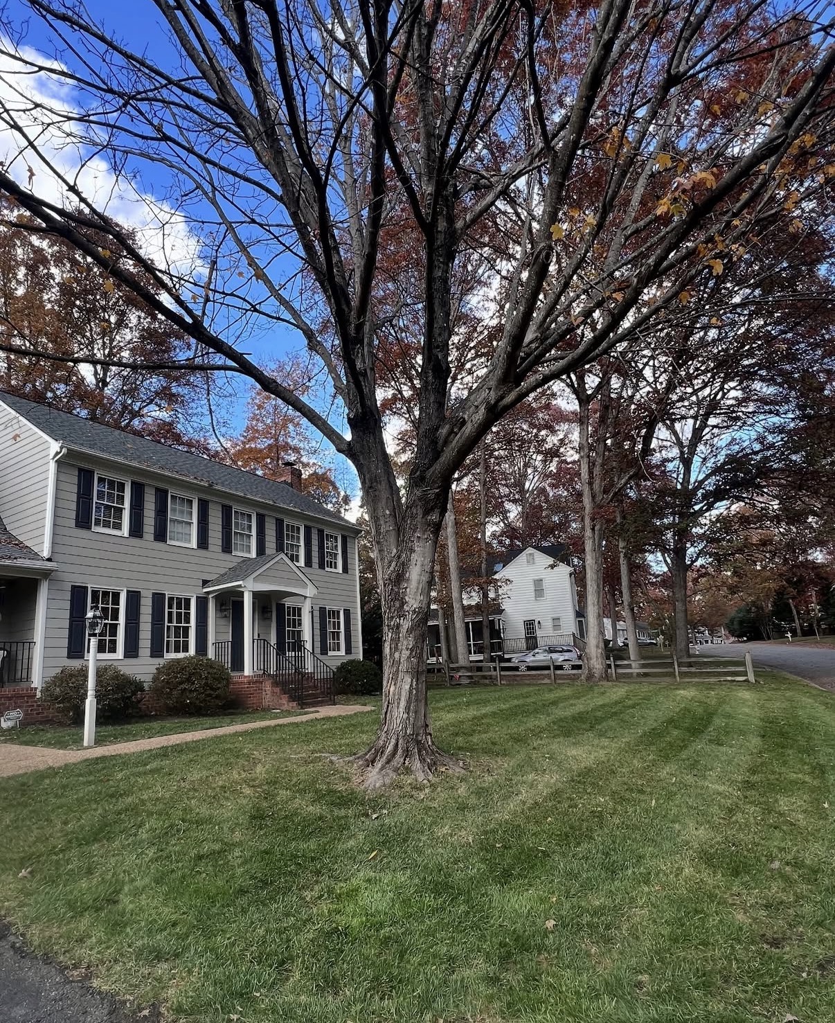 Front lawn cleared and clean after leaf removal service