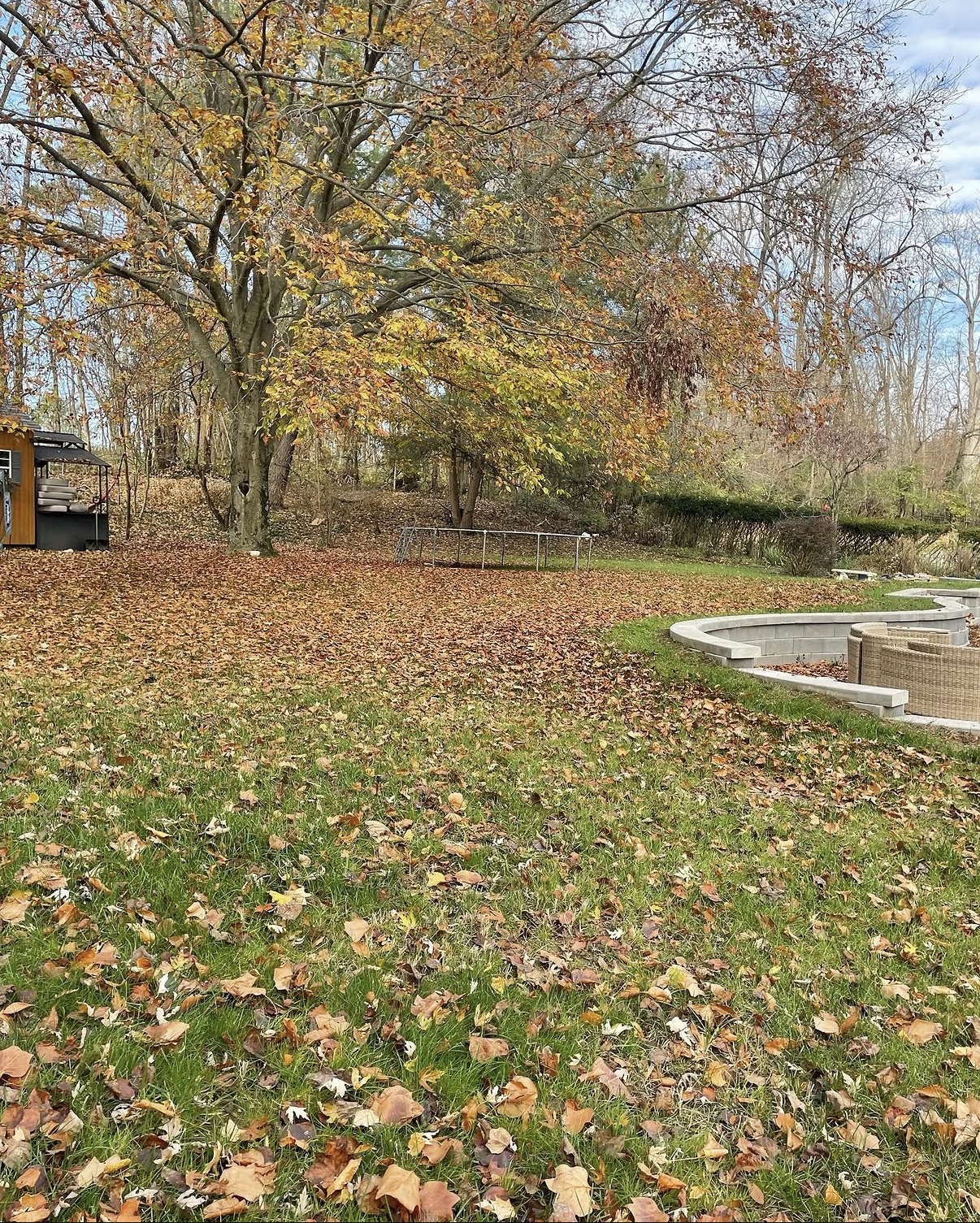 Backyard lawn covered in fall leaves before a cleanup in Andover, MA