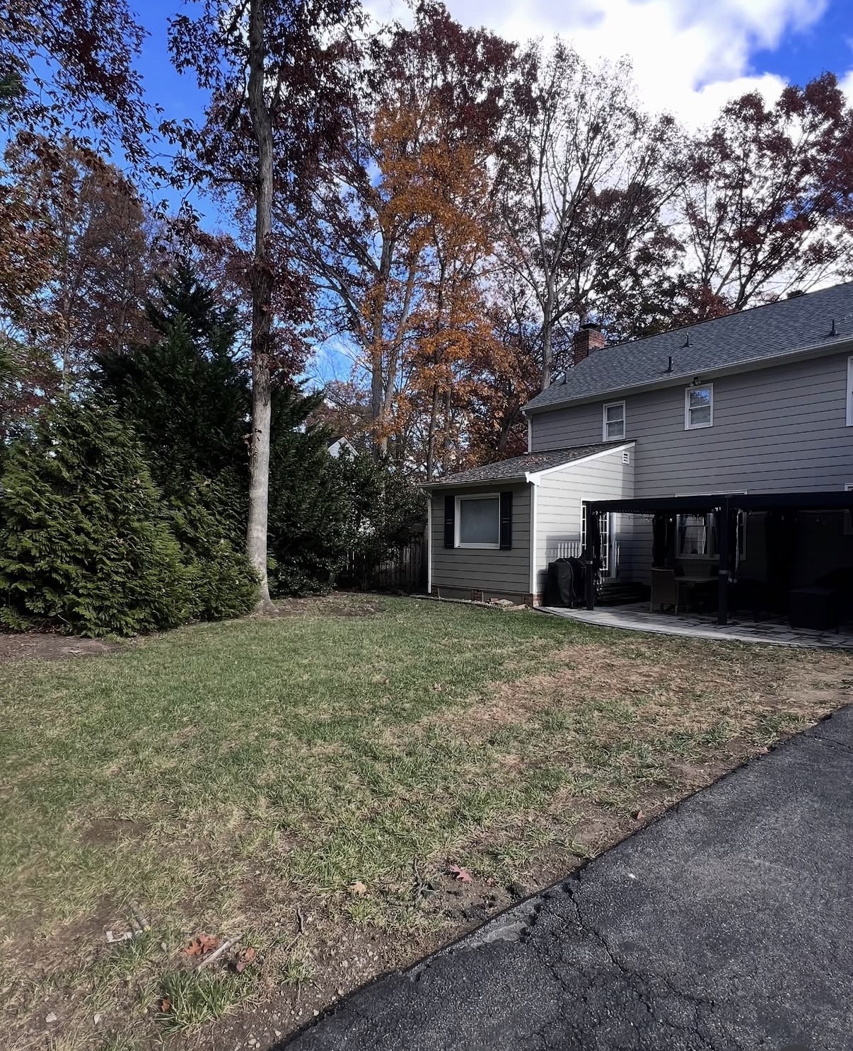 Back lawn and patio area clean after complete leaf removal